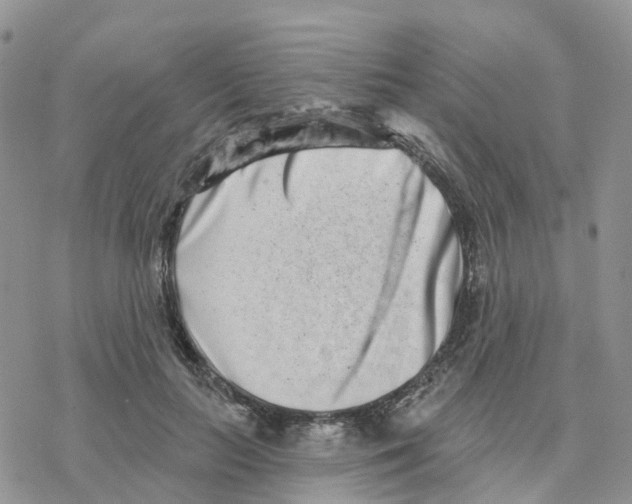 X0000077310647200611171718