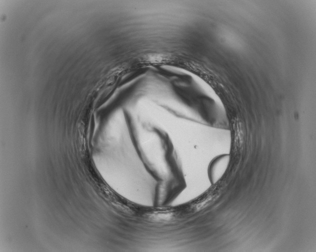 X0000077310651200611171718