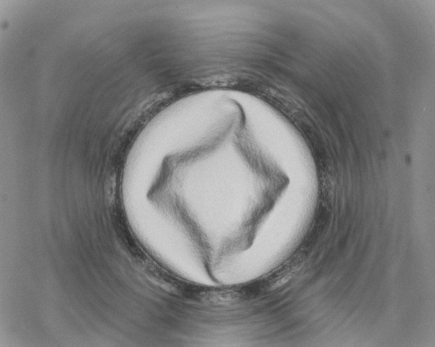 X0000077310652200611171718