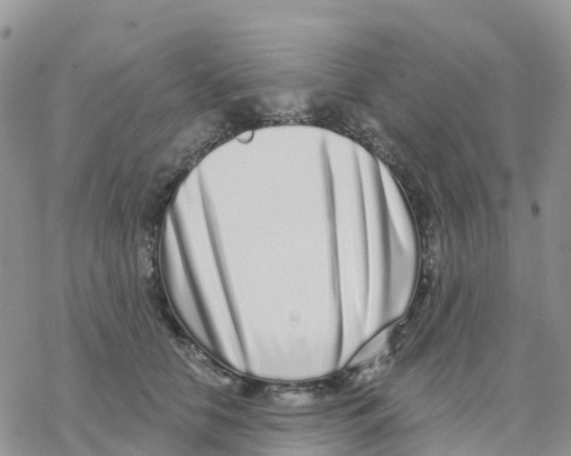 X0000077310658200611171718