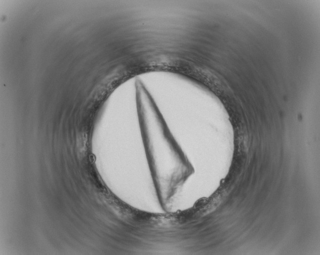 X0000077310660200611171719