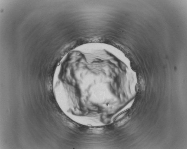 X0000077310665200611171719