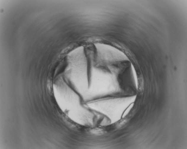 X0000077310669200611171719