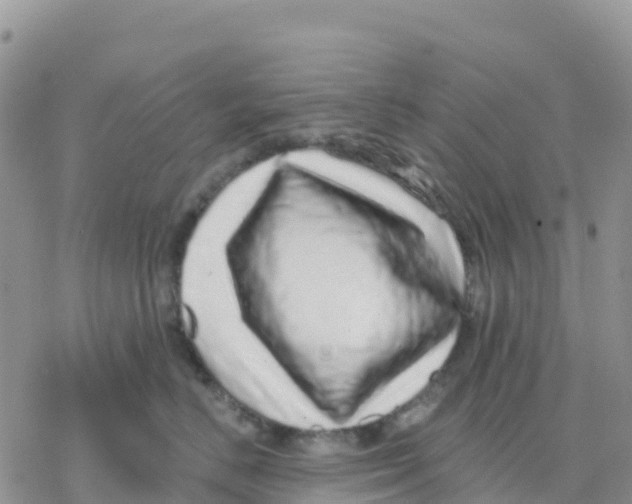 X0000077310670200611171719