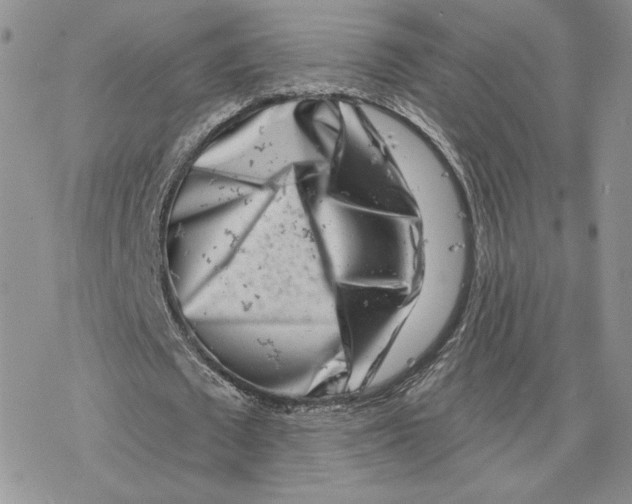 X0000077310673200611171718