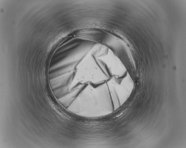 X0000077310677200611171718
