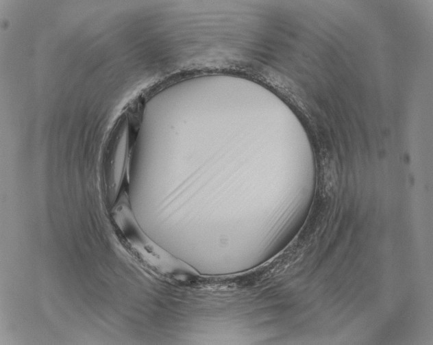 X0000077310680200611171718