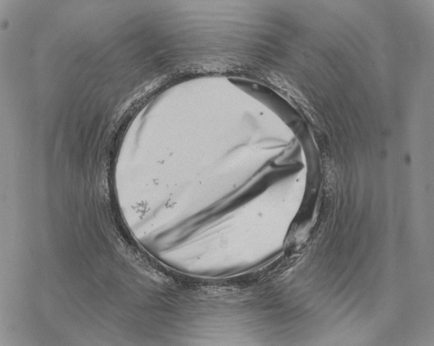 X0000077310681200611171718