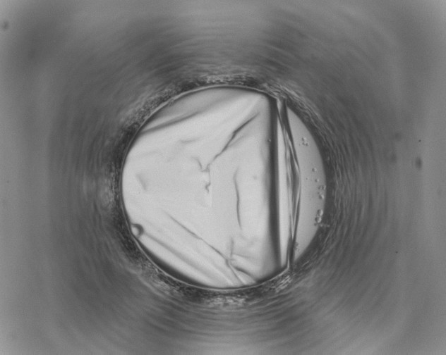 X0000077310691200611171718