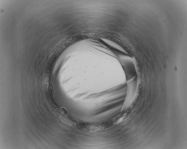 X0000077310697200611171718