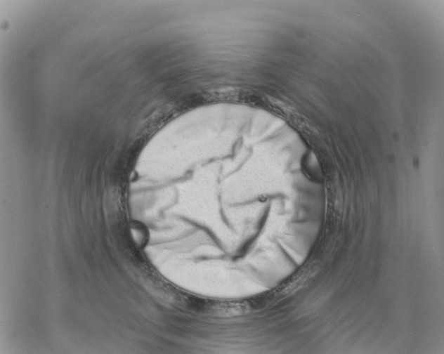X0000077310711200611171717