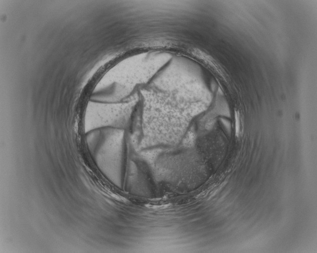 X0000077310723200611171716