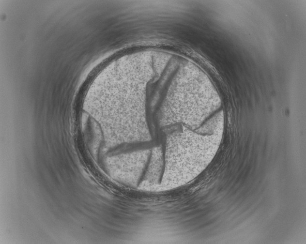 X0000077310724200611171716