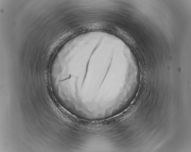 X0000077310725200611171716
