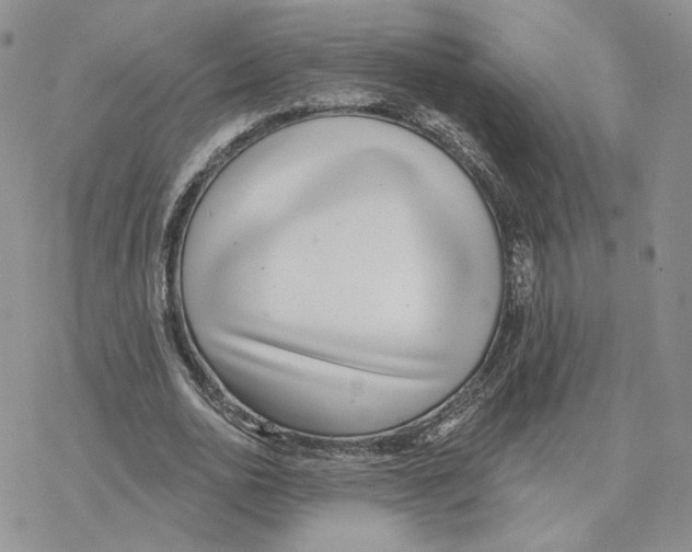 X0000077310726200611171716