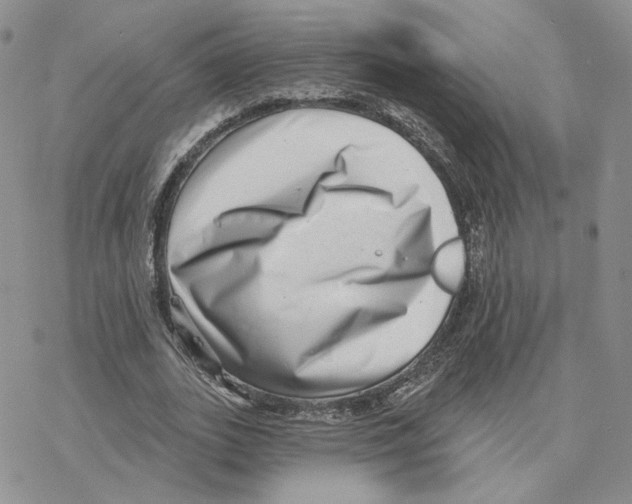 X0000077310727200611171716