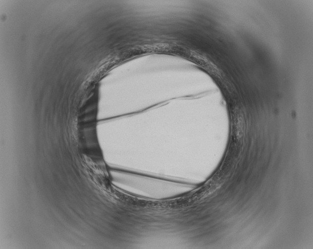 X0000077310729200611171717