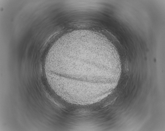 X0000077310733200611171717