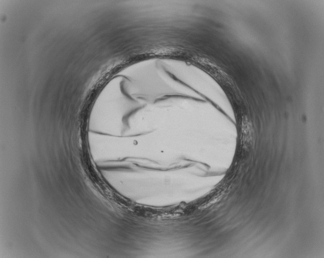 X0000077310734200611171717