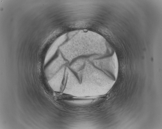 X0000077310735200611171717