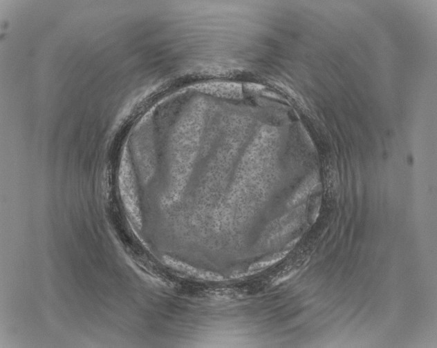 X0000077310736200611171717