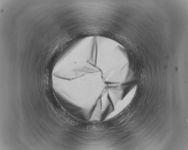 X0000077310739200611171717