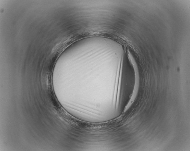 X0000077310740200611171717