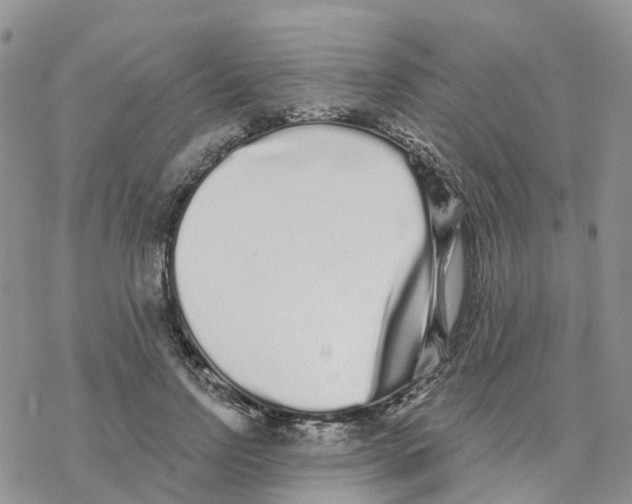 X0000077310742200611171717