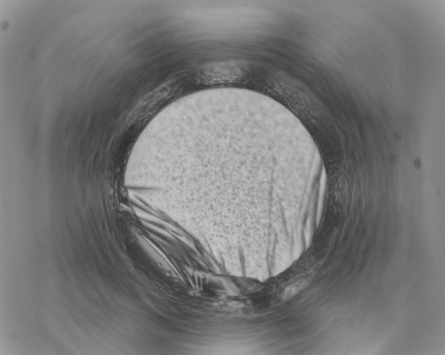 X0000077310743200611171717