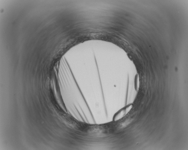 X0000077310750200611171717