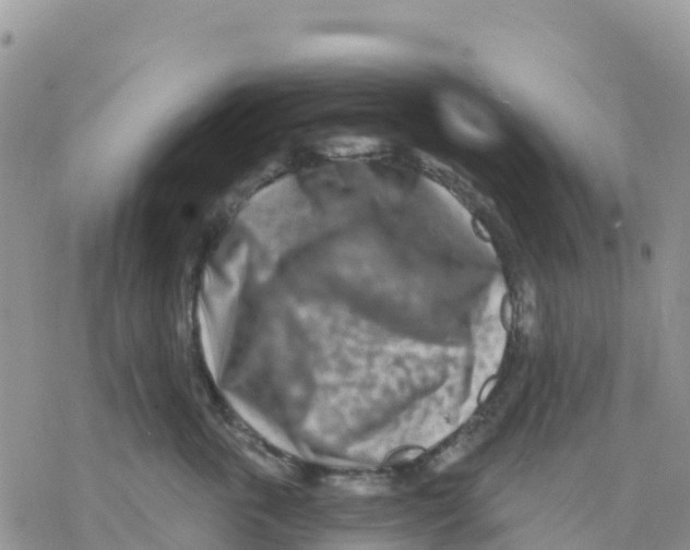 X0000077310763200611171717