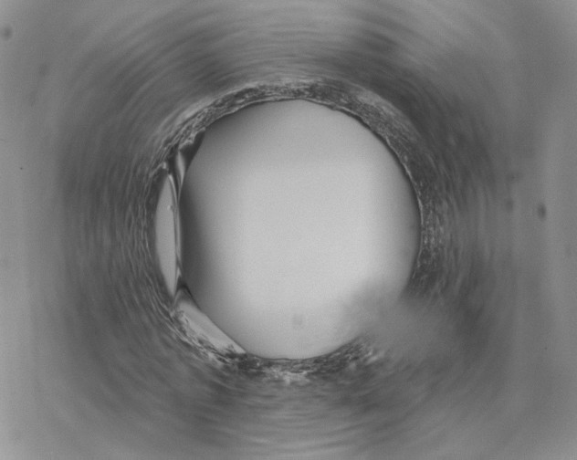 X0000077310773200611171716