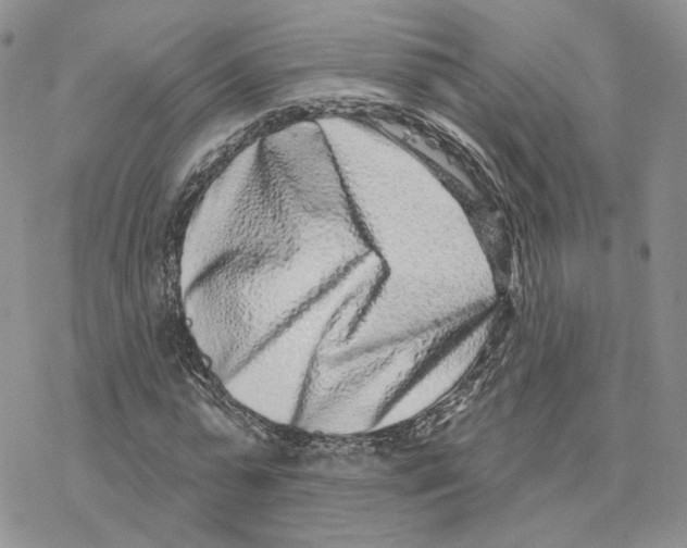 X0000077310775200611171716