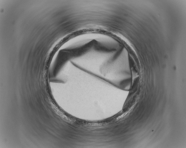 X0000077310783200611171716