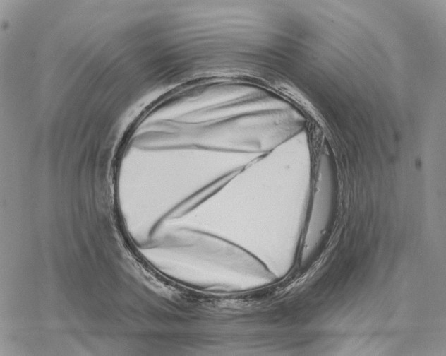 X0000077310787200611171716