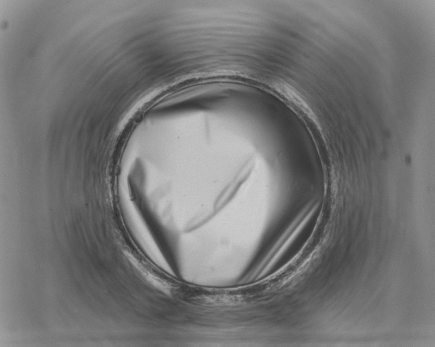 X0000077310789200611171716