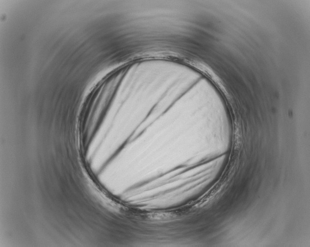 X0000077310795200611171716