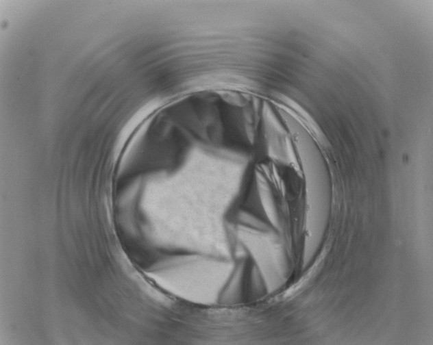 X0000077310812200611171716