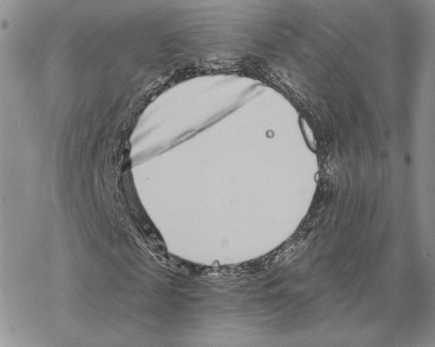 X0000077310817200611171715