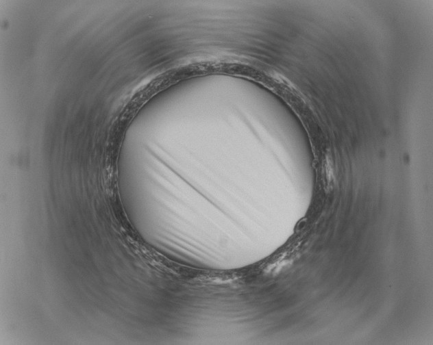 X0000077310822200611171715