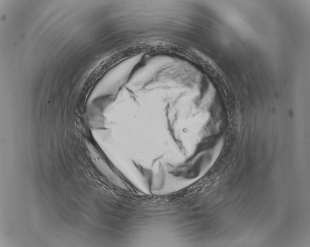 X0000077310823200611171715