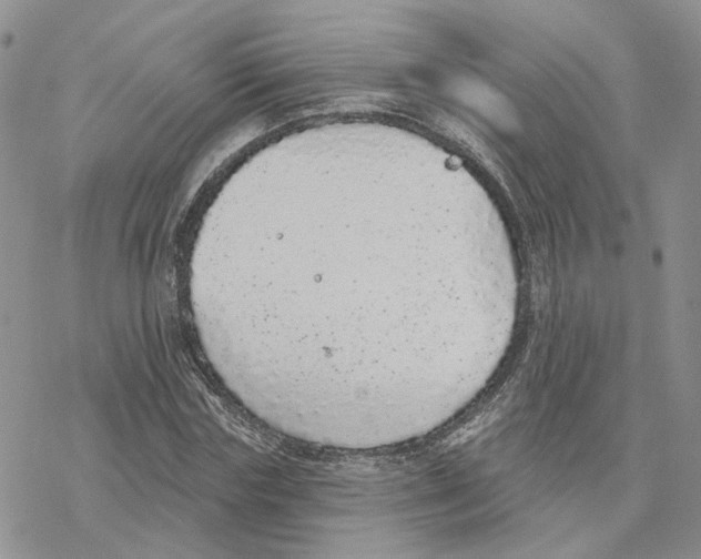 X0000077310827200611171715