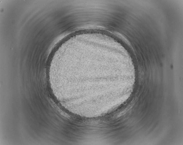X0000077310831200611171715