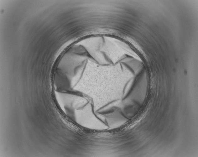 X0000077310837200611171715