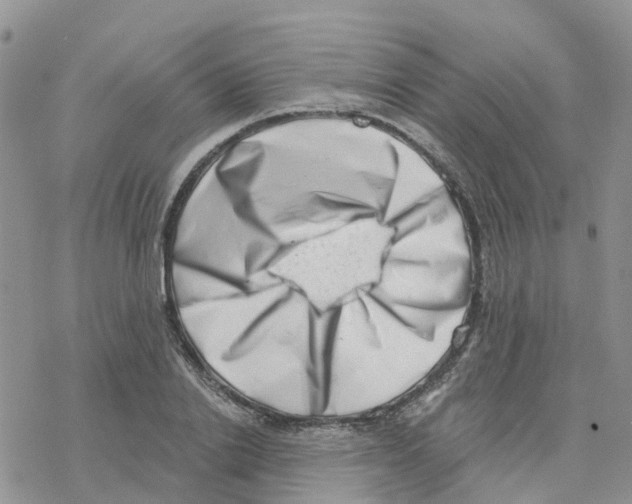 X0000077310838200611171715