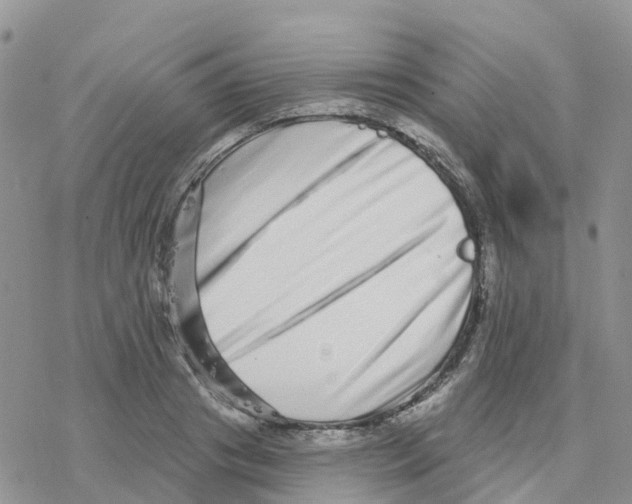 X0000077310841200611171715