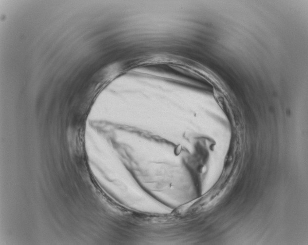 X0000077310857200611171715