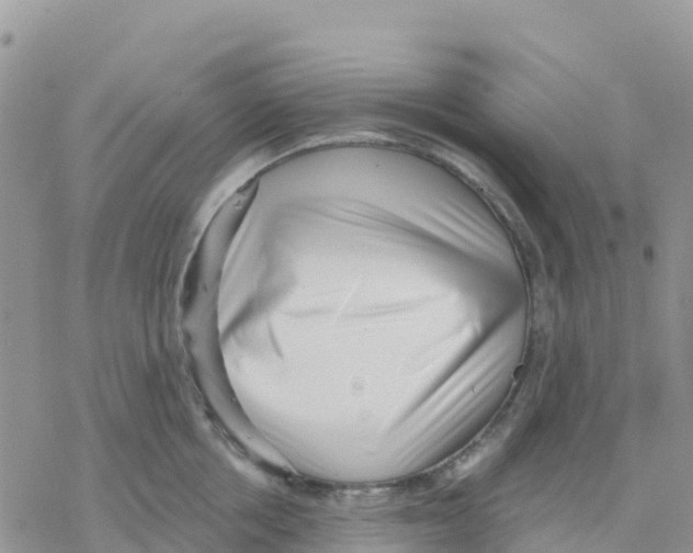 X0000077310858200611171715