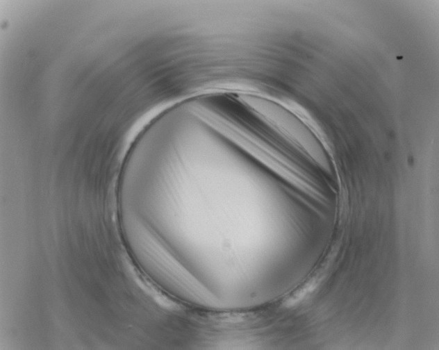 X0000077310862200611171716