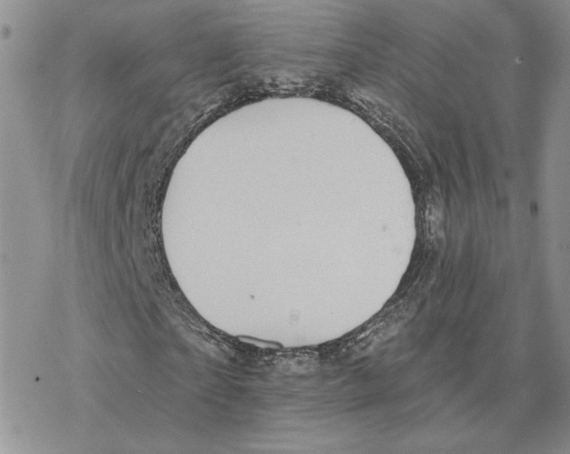 X0000077310865200611171715